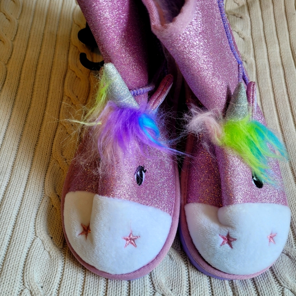 Boot slipper